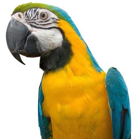 Julie Abbott Photo 24