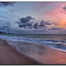 Dawn Quick Photo 9