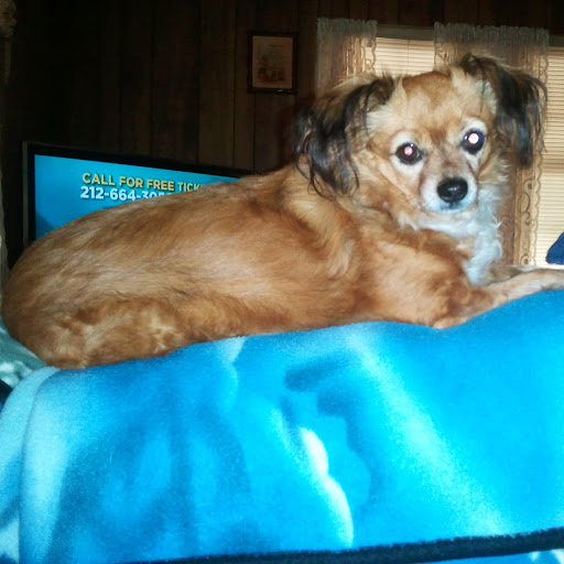 Brigitte Russell Photo 4