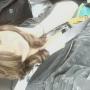 Erica Eckman Photo 6