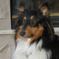 Nancy Trapp Photo 17