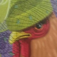 Deborah Herrera Photo 12