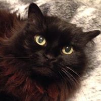 Michele Jacobsen Photo 19