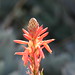 Sherry Weir Photo 5