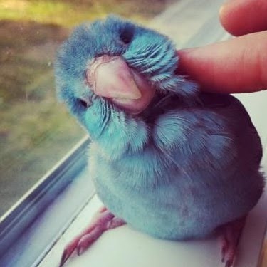 Jane Porter Photo 5 Jane Porter Photo 5