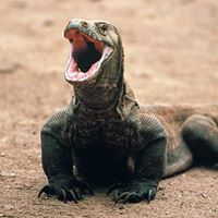 Christian Atkins Photo 15