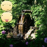 Darrel Hunter Photo 16