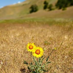 Tracy Reilly Photo 12