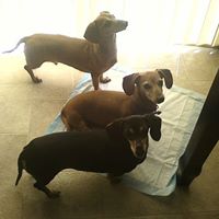 Lewis Becker Photo 4