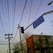 Zeng Lu Photo 14