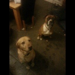 Samantha Cartwright Photo 10