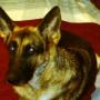 Christina Rhoads Photo 14