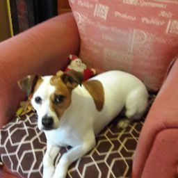 Geraldine Banks Photo 22