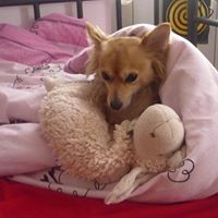 Michelle Moritz Photo 11