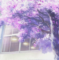 Shannon Acosta Photo 2