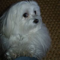 Tina Farber Photo 18