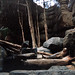 Forrest Sweat Photo 11