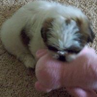 Martha Huff Photo 32