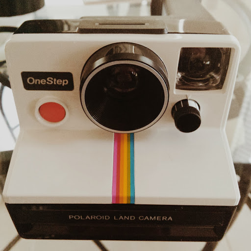 Tracy Barbour Photo 14