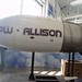 Allison Pratt Photo 16