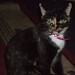 Amy Stroud Photo 28