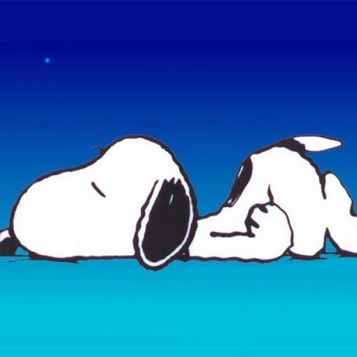 Michelle Greene Photo 25