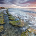 David Rowell Photo 31