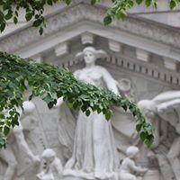 Alicia Parrish Photo 33