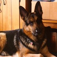 Kathy Kramer Photo 7