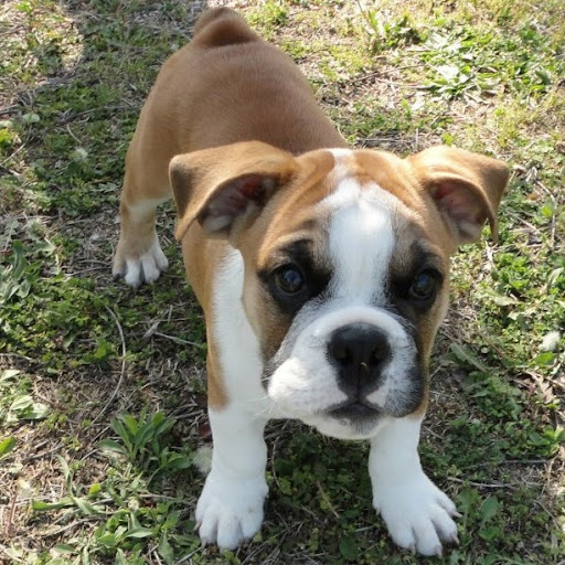 Shawn Stanley Photo 24