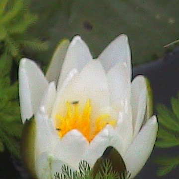 Kathleen Salisbury Photo 8