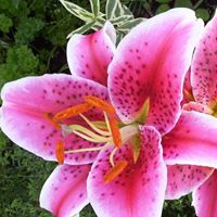 Barbara Welker Photo 15