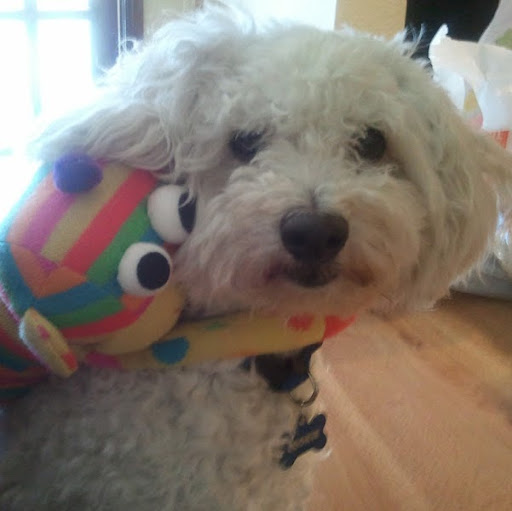 Roberta Romero Photo 36