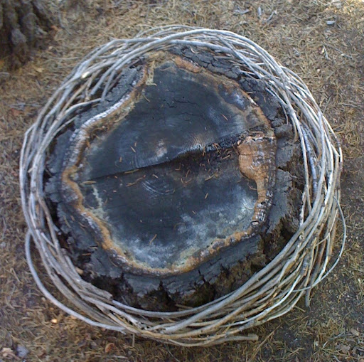 Sue Jacobsen Photo 13