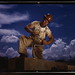 Douglas Carpenter Photo 35