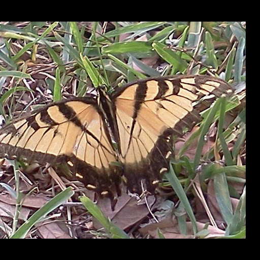 Catherine Sneed Photo 1