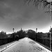 Alexander Winters Photo 21