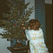Donna Trimmer Photo 16