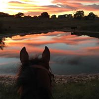 Kristin Mclaughlin Photo 40