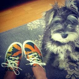 Jeffrey James Photo 6