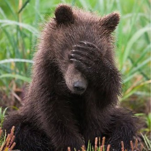 Jerry Newman Photo 32