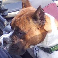 Christine Strange Photo 27