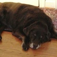 Vicki Hudson Photo 17