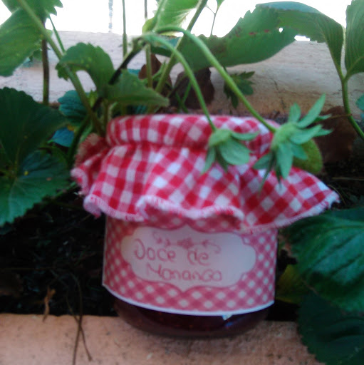 Isabel Duarte Photo 38