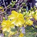 Hue Ho Photo 26