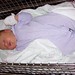 Stacey Holmes Photo 13