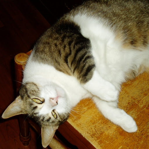 Jonathan Houston Photo 5