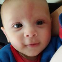 Nancy Fenoglio Photo 4