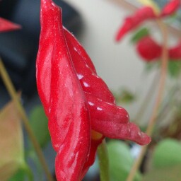 Jeffrey Alonzo Photo 6