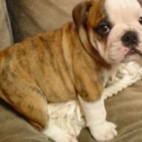 Terry Travis Photo 11